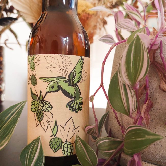 Bière artisanale avec étiquette kraft et colibri vert avec une plante à coté