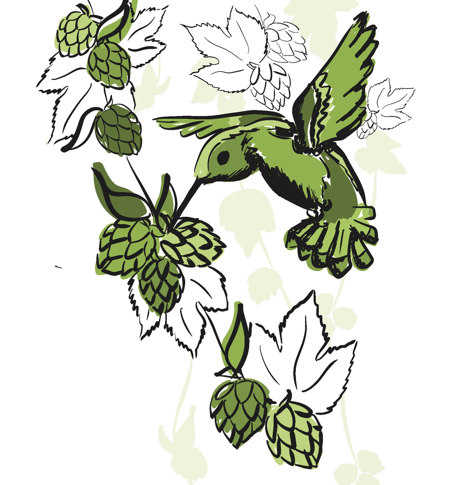 Illustration avec colibri qui vole autour de grappes de houblon vert.