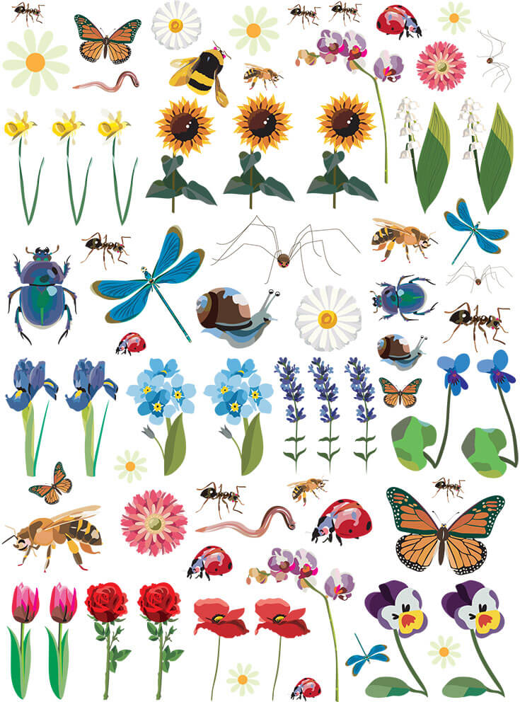 Illustrations fleurs et insectes pour une planche de gommettes pour enfants